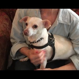 Meet your Posher, Ronita